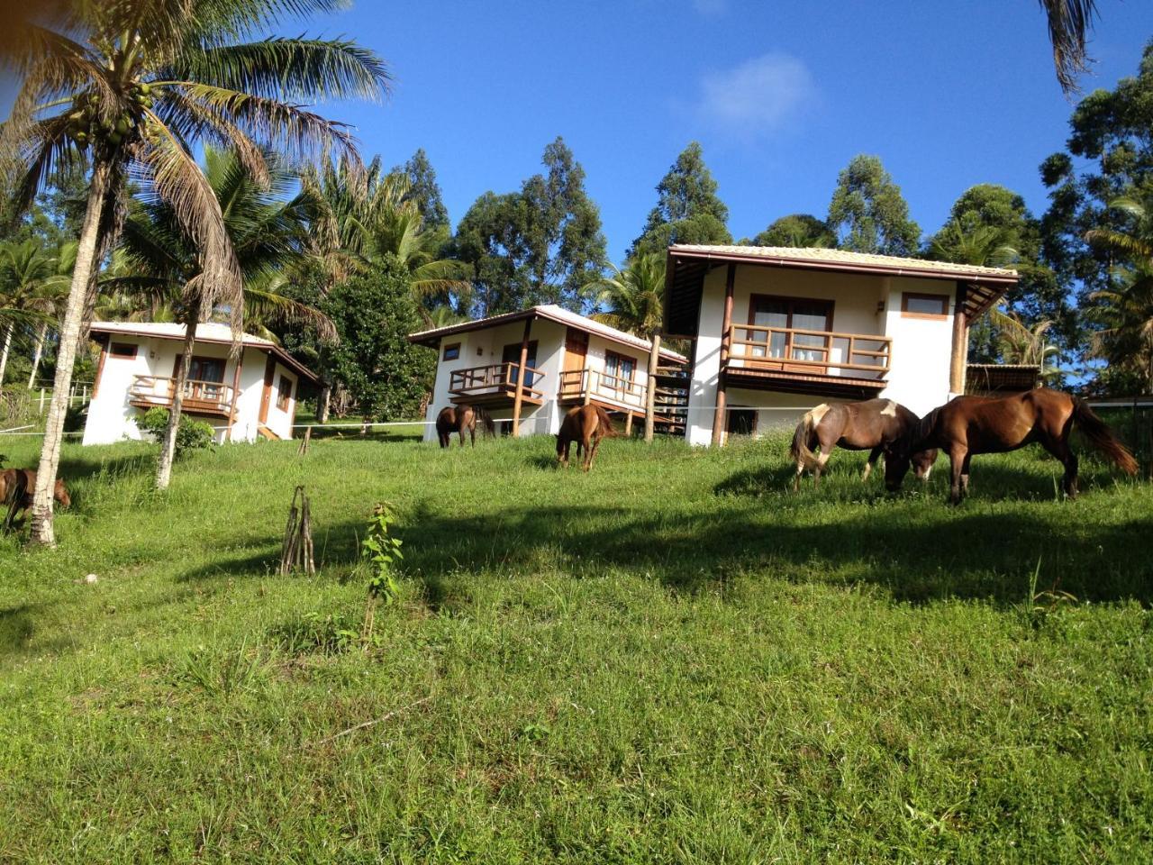 Itacare Ecoranch Itacaré Exterior foto
